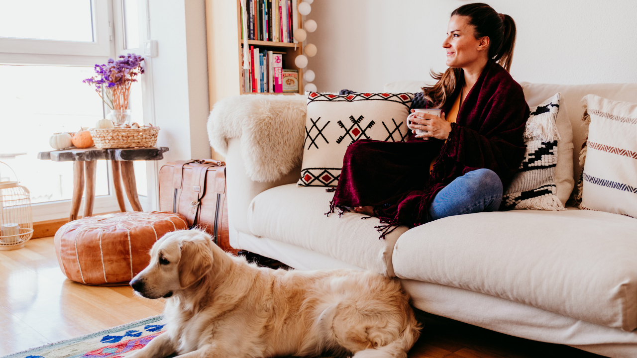 lady on couch dog on floor