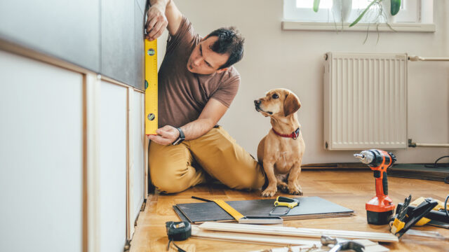 dog and man on floor remodeling